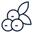 berries-icon