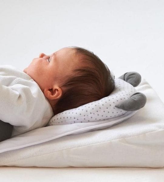 PANDA PAD-CANDIDE – Image 2