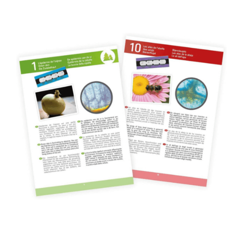 MICROSCOPE 15 EXPÉRIENCES – BUKI – Image 3