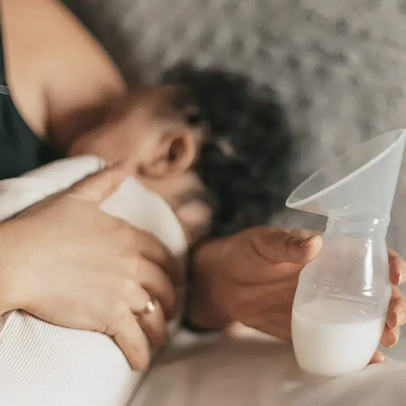 145 5c84b1b8 ae32 4f72 9357 04cb8aa12599.webp