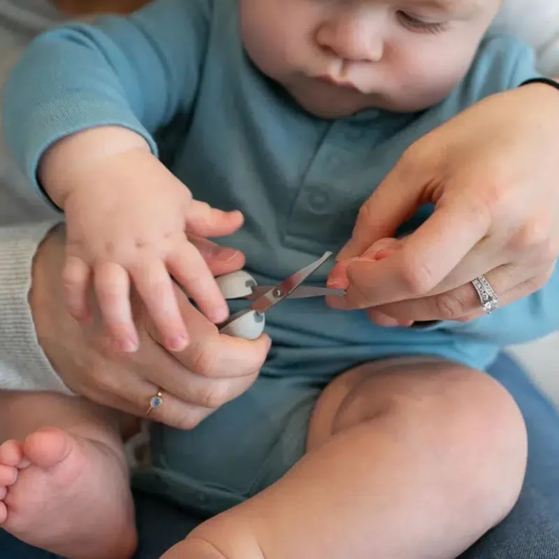 51 dd31cee1 90b5 427c 94d2 4081aa35aaca.webp