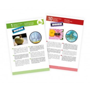 Microscope 15 expariences (3)